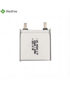 Professional Customize Lithium Ion Battery