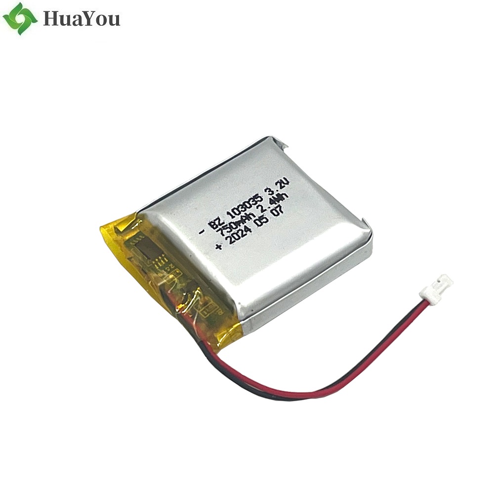 BZ 103035 3.2V 750mAh-2