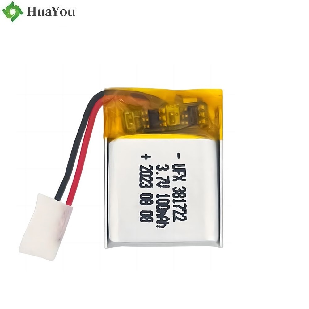 Professional Customized Lithium-ion Polymer Battery