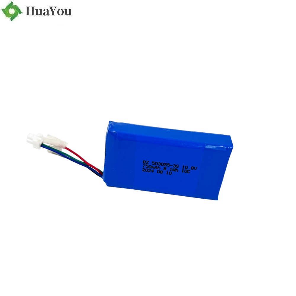 Professional Customize Li-ion Polymer Battery Pack