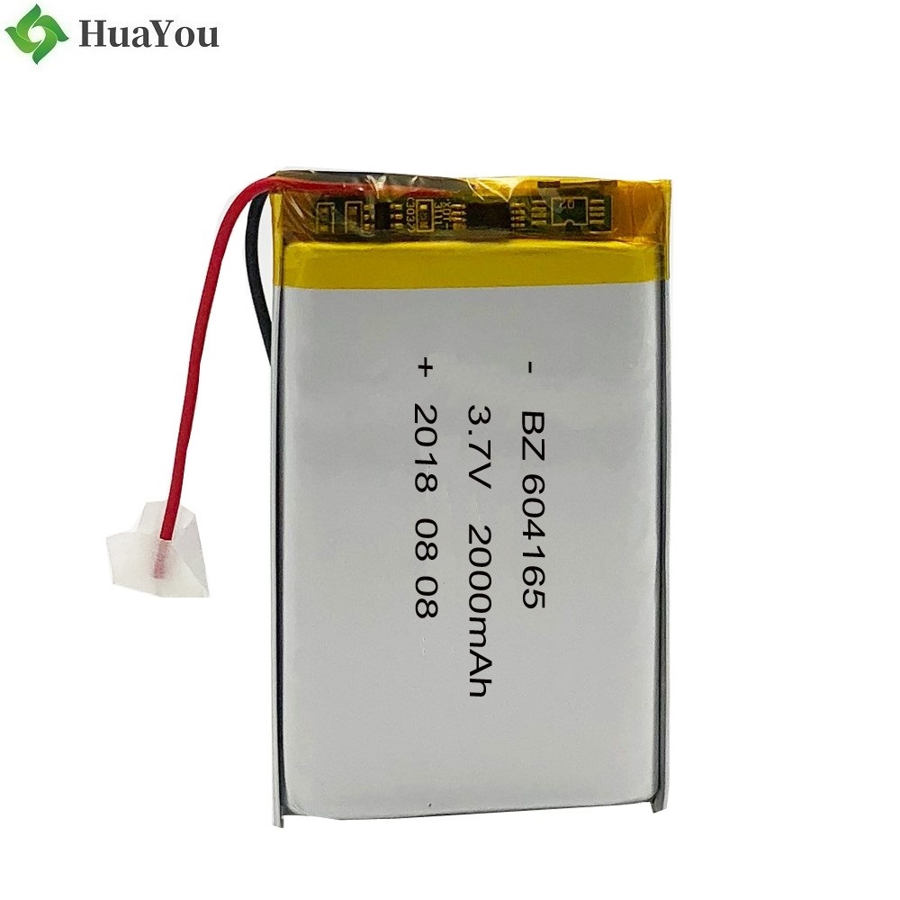 2000mah Polymer Li-ion Battery