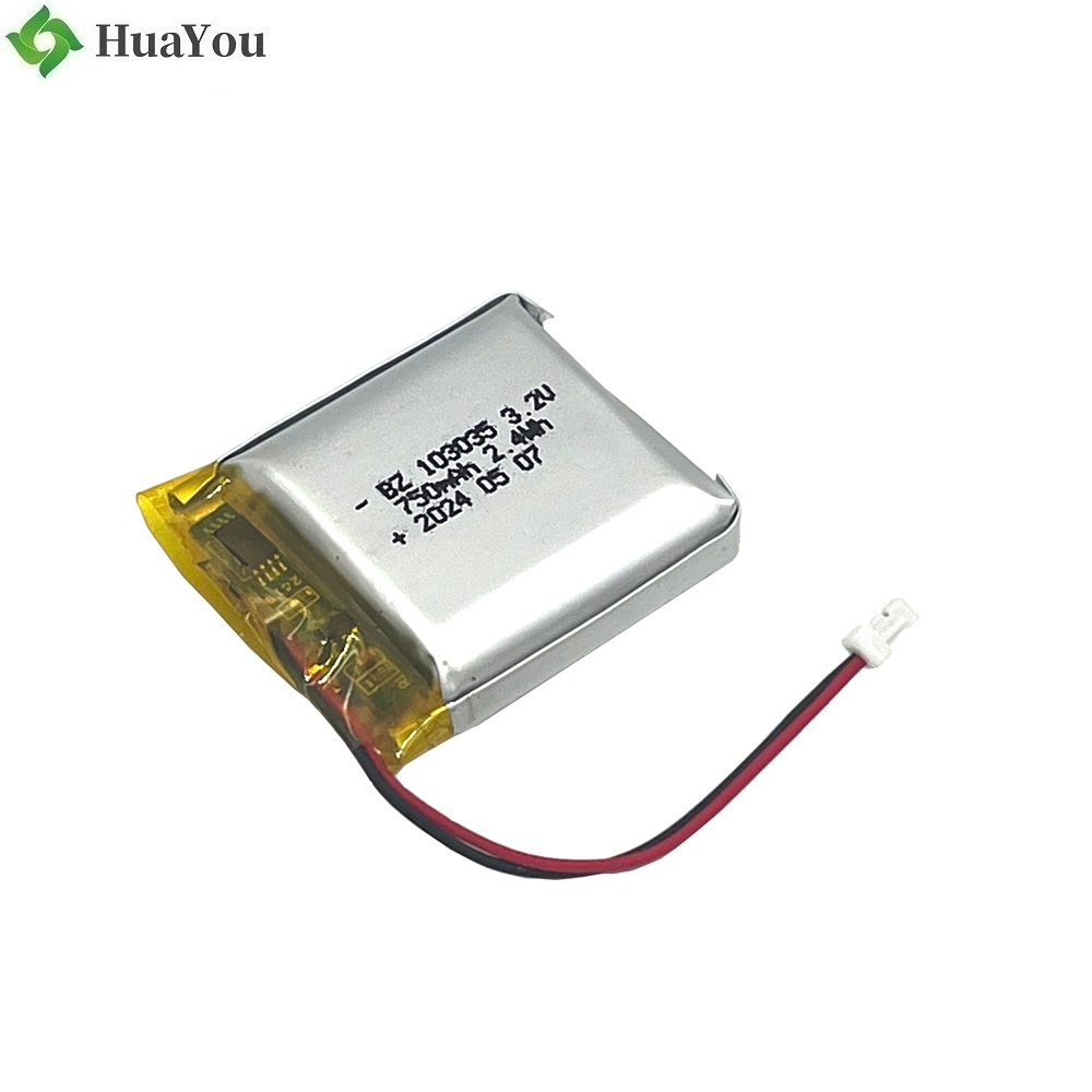 HY 103035 3.2V 750mAh-2